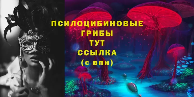 цены   Новосиль  KRAKEN   Псилоцибиновые грибы Psilocybe 